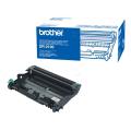 Brother drum (DR2100 /)